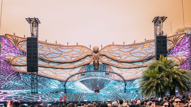 Palco Morpho